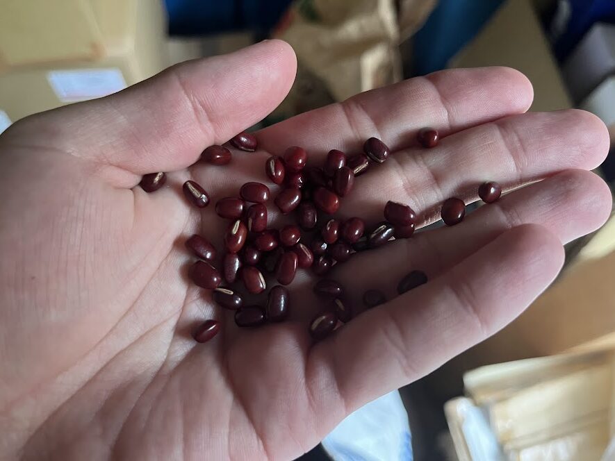 朝山精華堂にある小豆を手に取ったところ