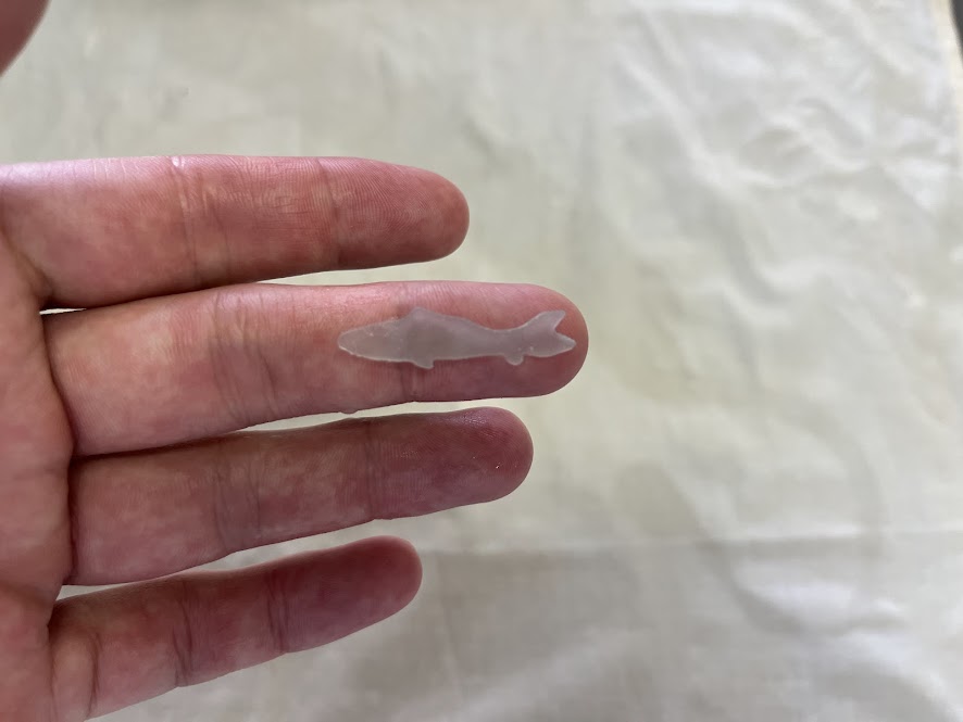 水色の羊羹で抜いたアユ