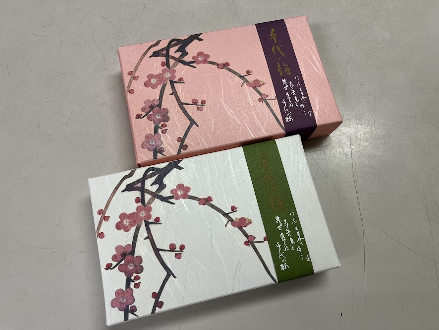 箱入れした千代の梅
