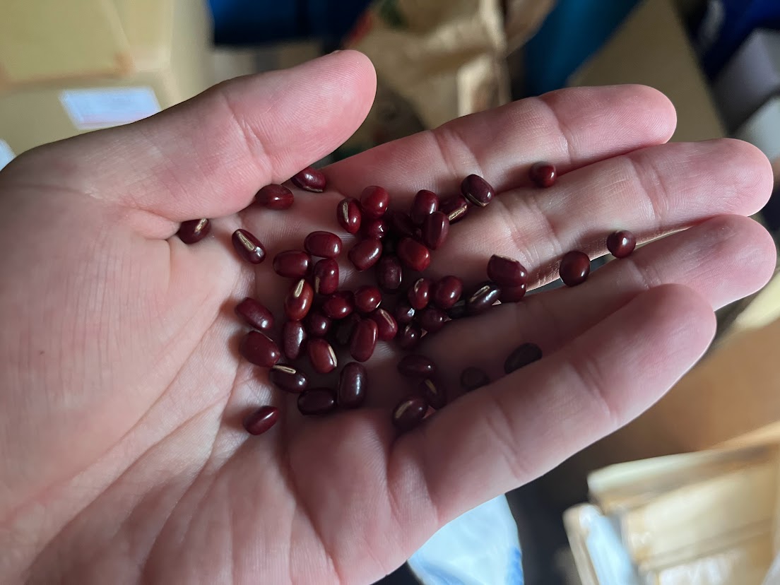 北海道十勝産の小豆