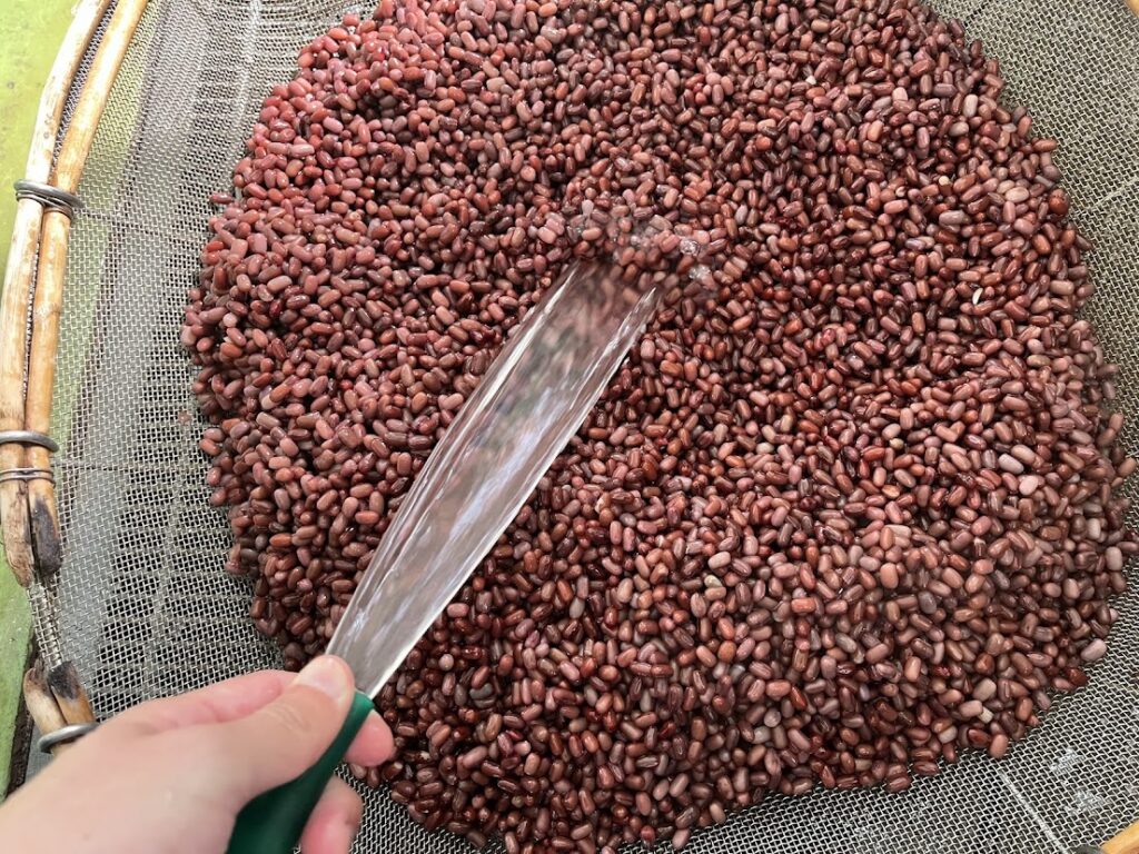 小豆の表面の汚れを水で洗い流す