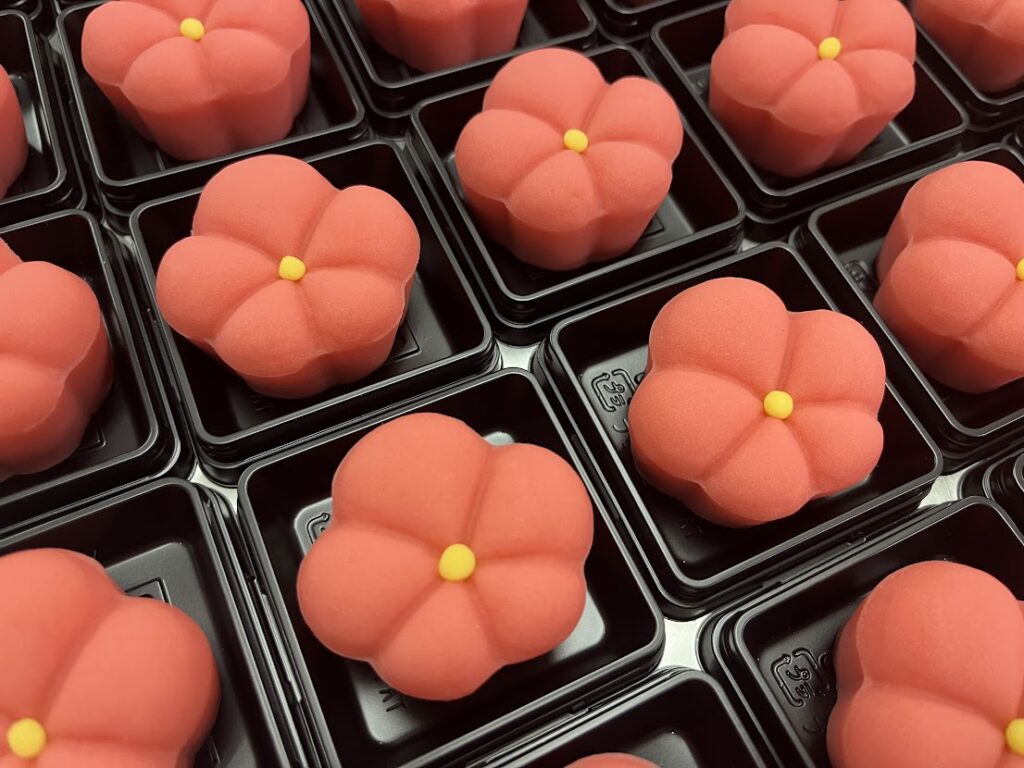 上生紅梅の完成