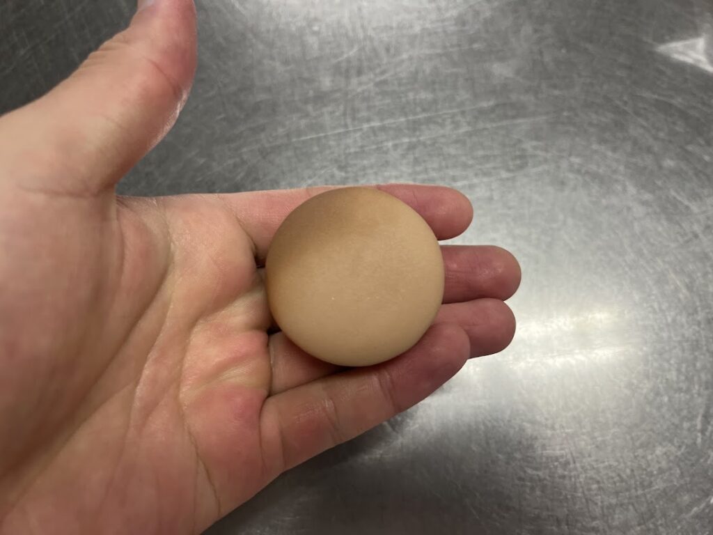 上生の午の包餡後