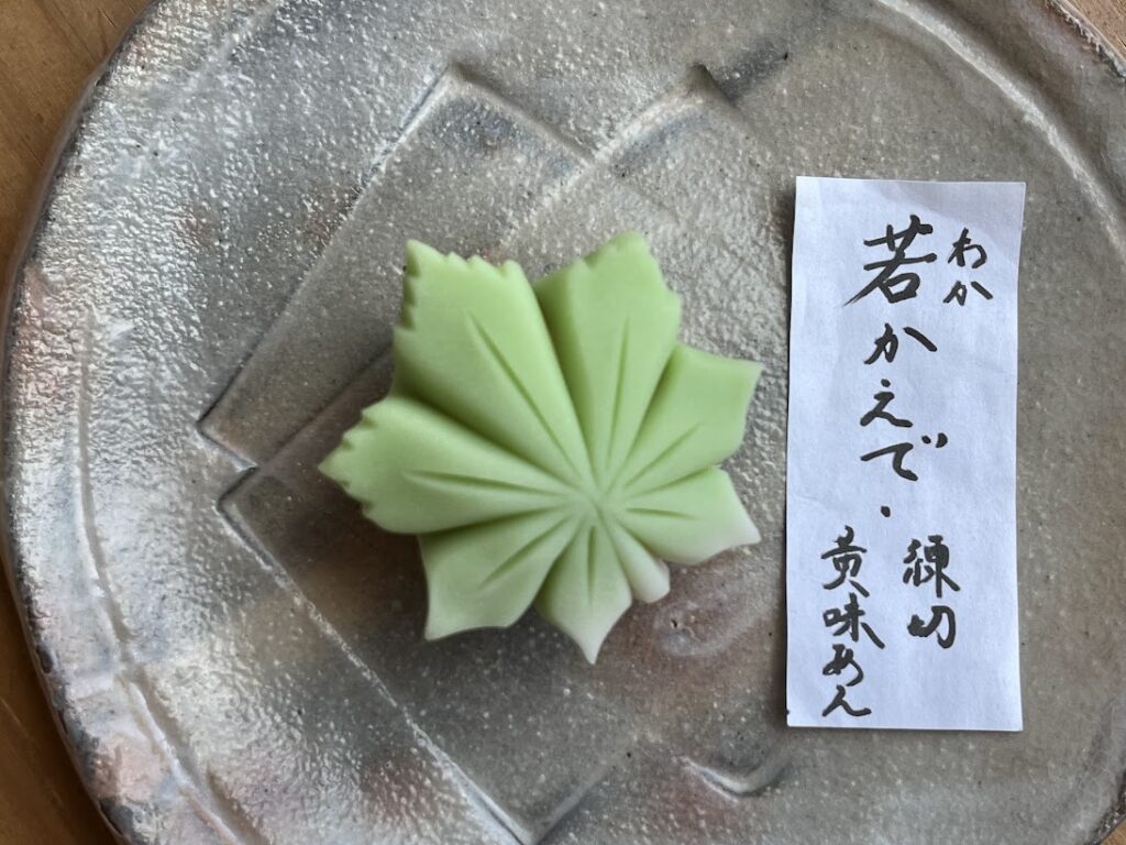 若かえでの完成2